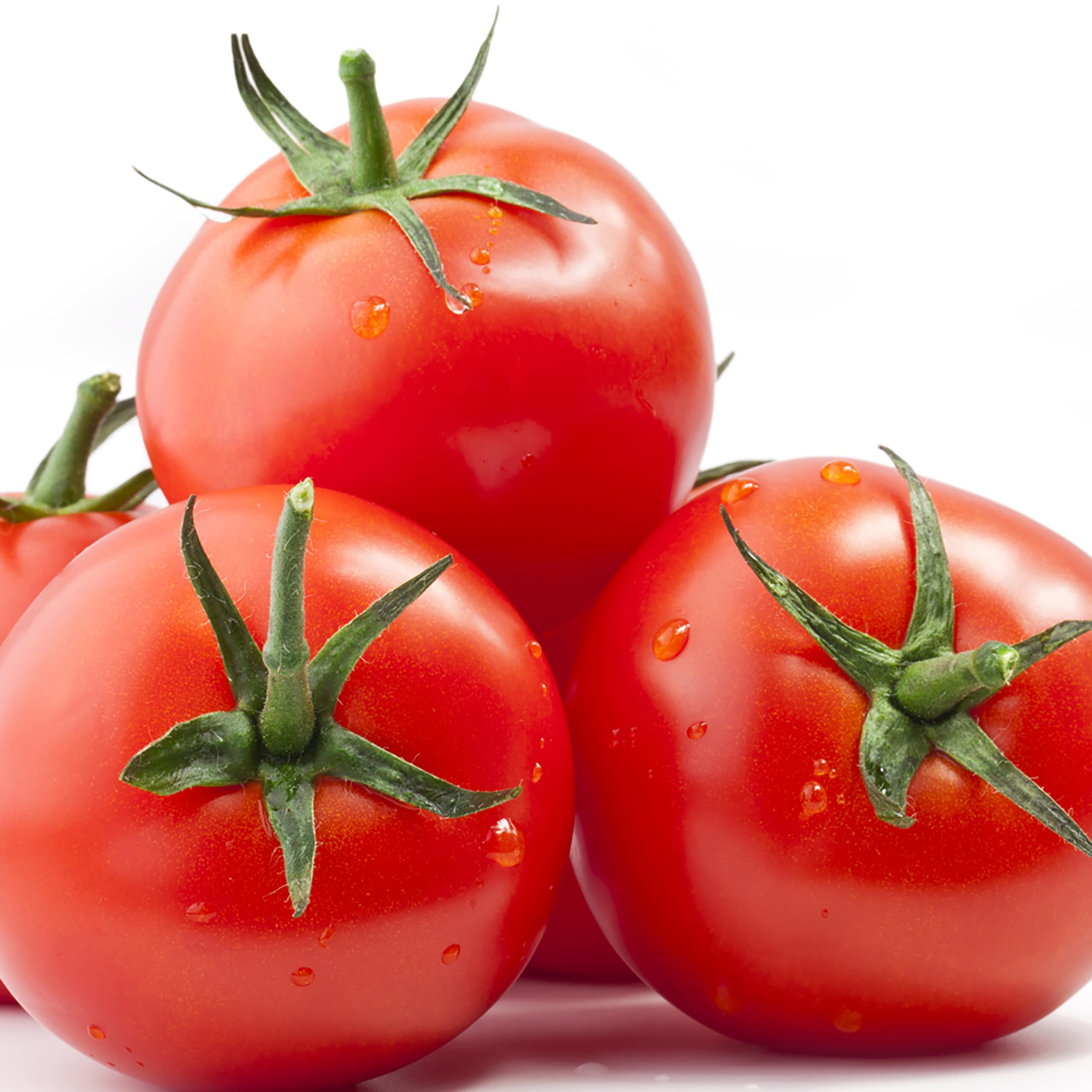 Jobe's Organics tomato spikes promoting lush foliage and color