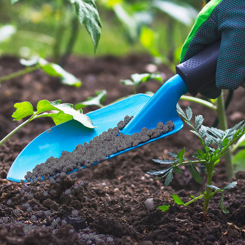 Jobe’s Organics trees and shrubs show healthy growth after feeding.