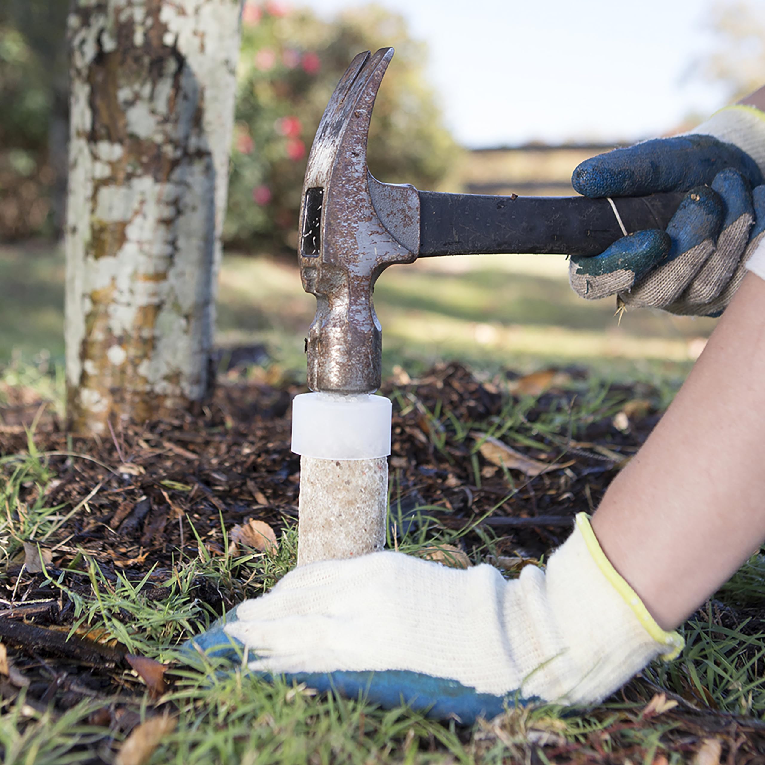 Safer feeding with reduced risk of runoff and waste