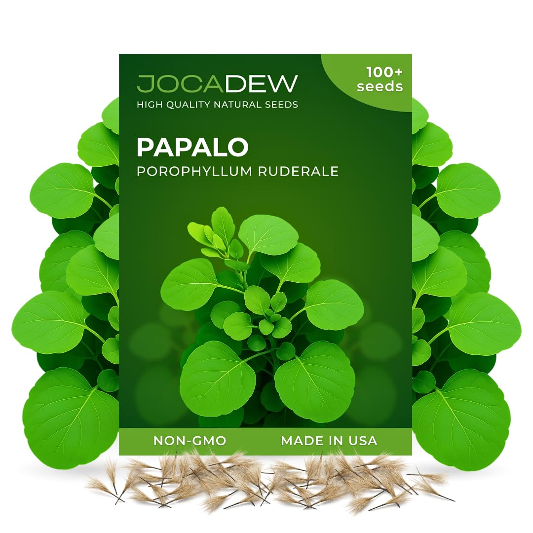 JOCADEW Papalo Seeds Pack ready for outdoor planting and fresh leaf harvest.