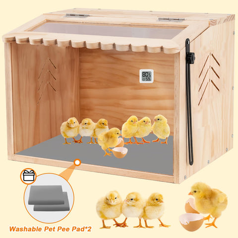 JOGEPEYO skylight vent in brooder box promotes odor control and airflow.