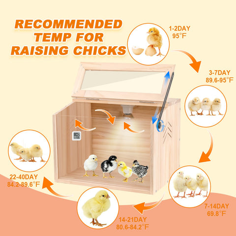 JOGEPEYO Chick Brooder Box top view emphasizes compact footprint