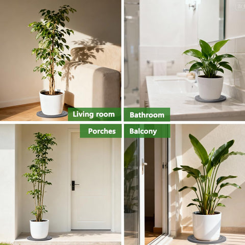 Johamoo compact saucer fits indoor plant arrangements