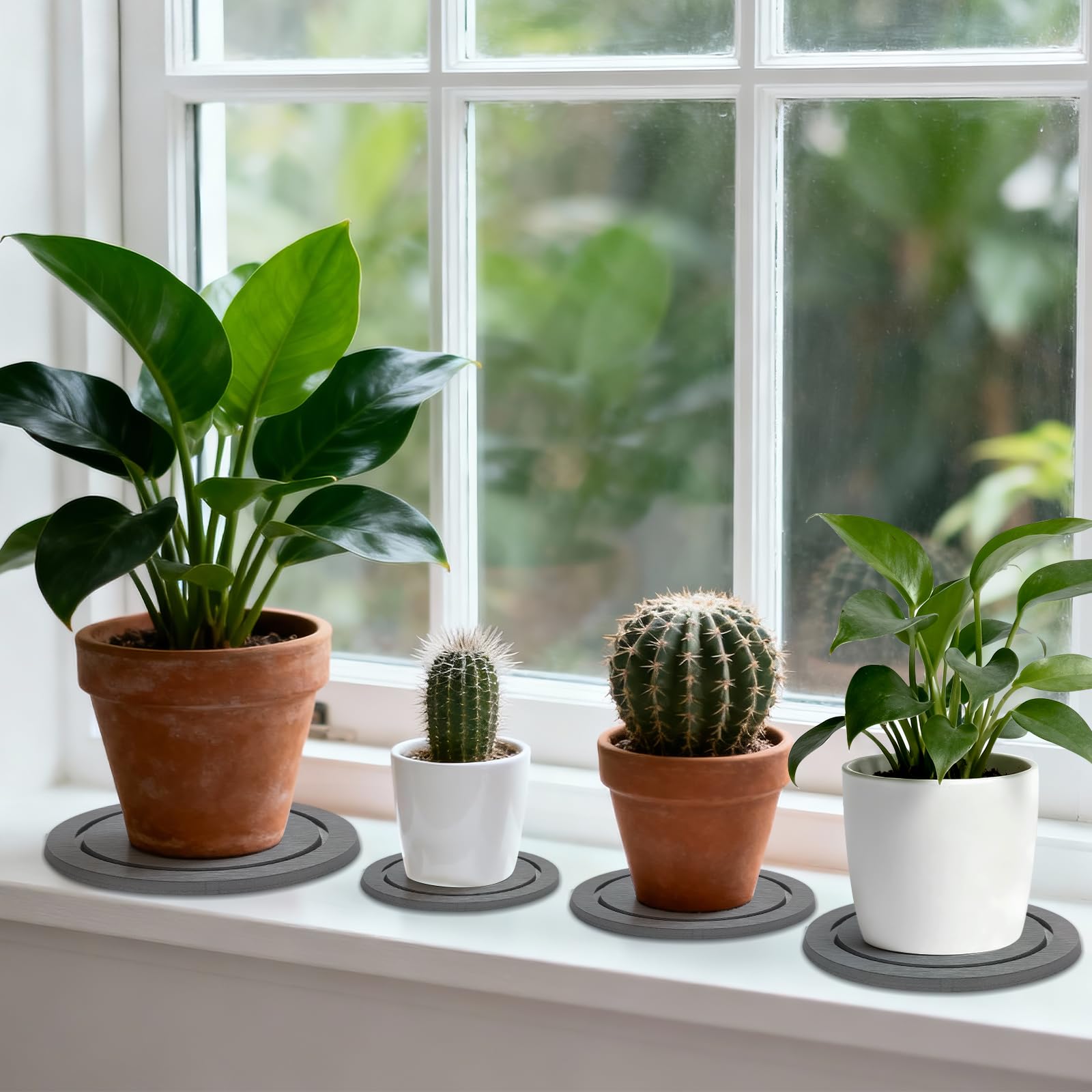 Johamoo gray plant saucer complements modern interior design
