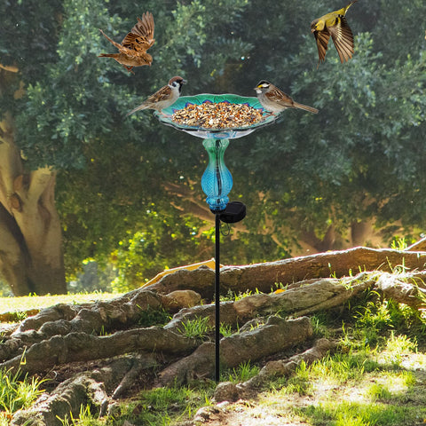John's Studio Garden display enhances outdoor decor and birdwatching appeal.