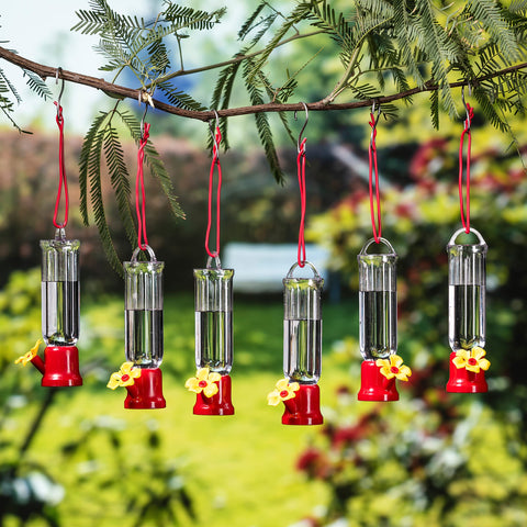 Joiedomi color-rich hummingbird feeders ready for yard visits