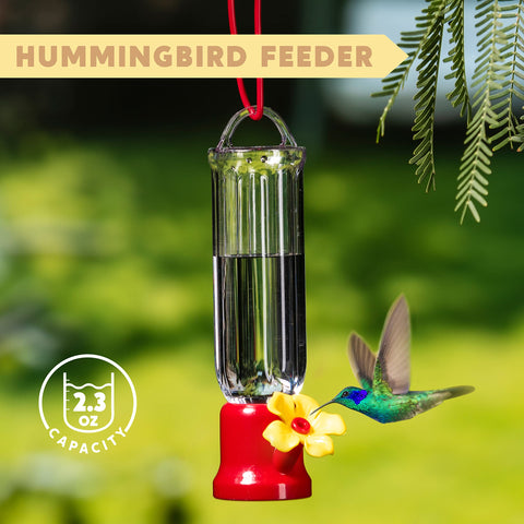 Joiedomi transparent feeder with clear bottle for nectar monitoring outdoors
