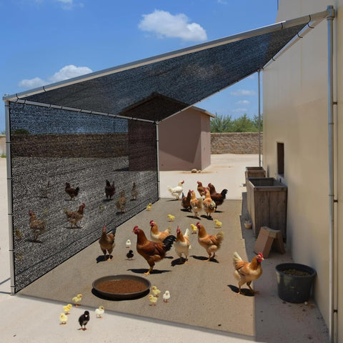 JOJOLEE shade net mounted above chicken coop for shaded outdoor space