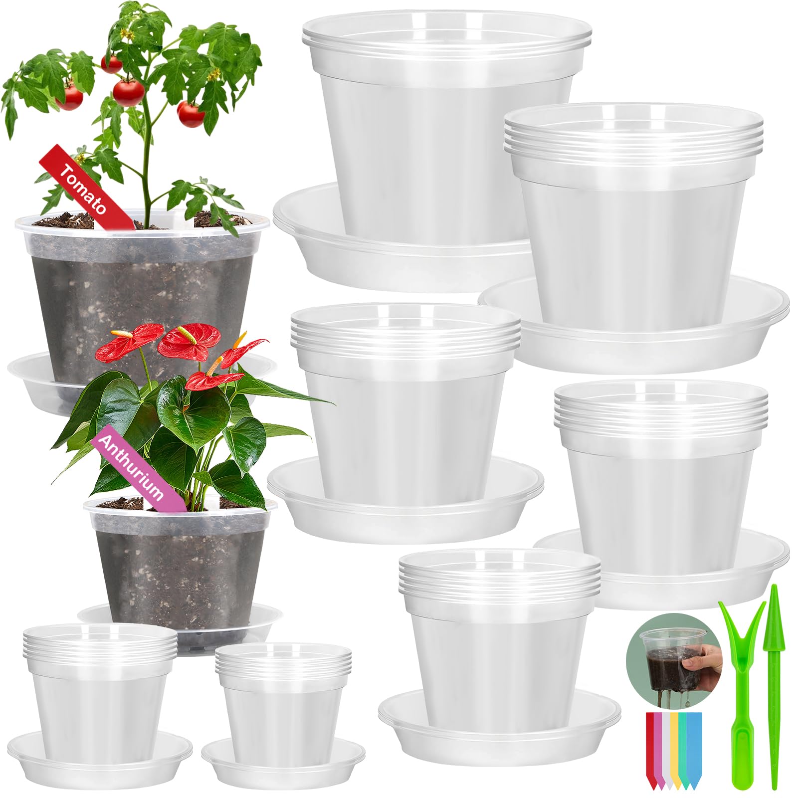Jollidecor clear nursery pots with drainage for easy root monitoring