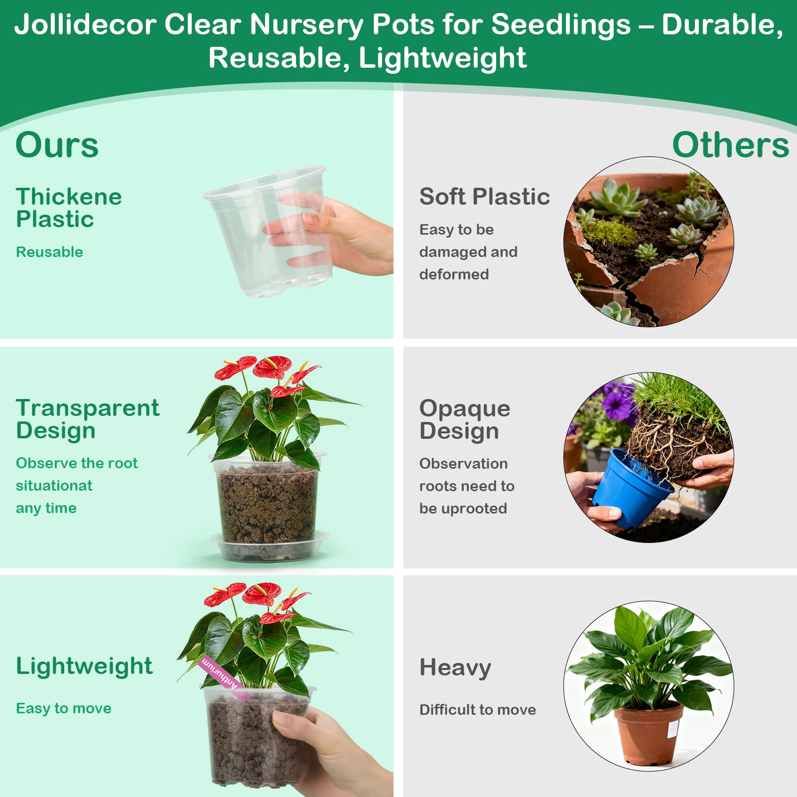 Jollidecor colorful plant labels for organized gardening