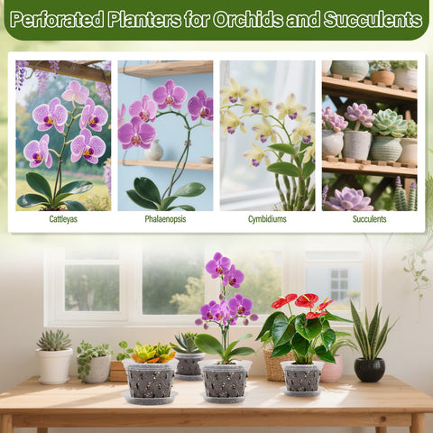 Jollidecor orchid sticks with clips guiding upright growth