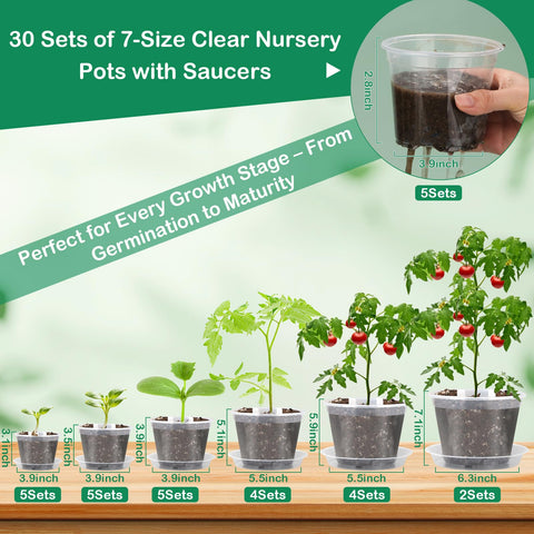 Jollidecor seedling tool and hole puncher for fast pot prep