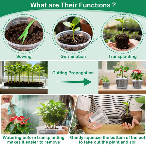 Jollidecor seven sizes clear pots suit seedlings to mature plants
