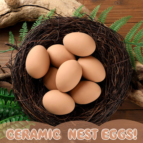 JolliLudo durable coop eggs withstand sun and weather for long-term use.