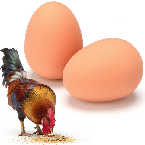 JolliLudo rubber nest egg closeup showing lifelike size guiding hens to designated laying spots