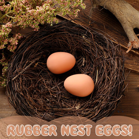 JolliLudo rubber nest egg in coop highlights safe, chew-resistant material for poultry safety