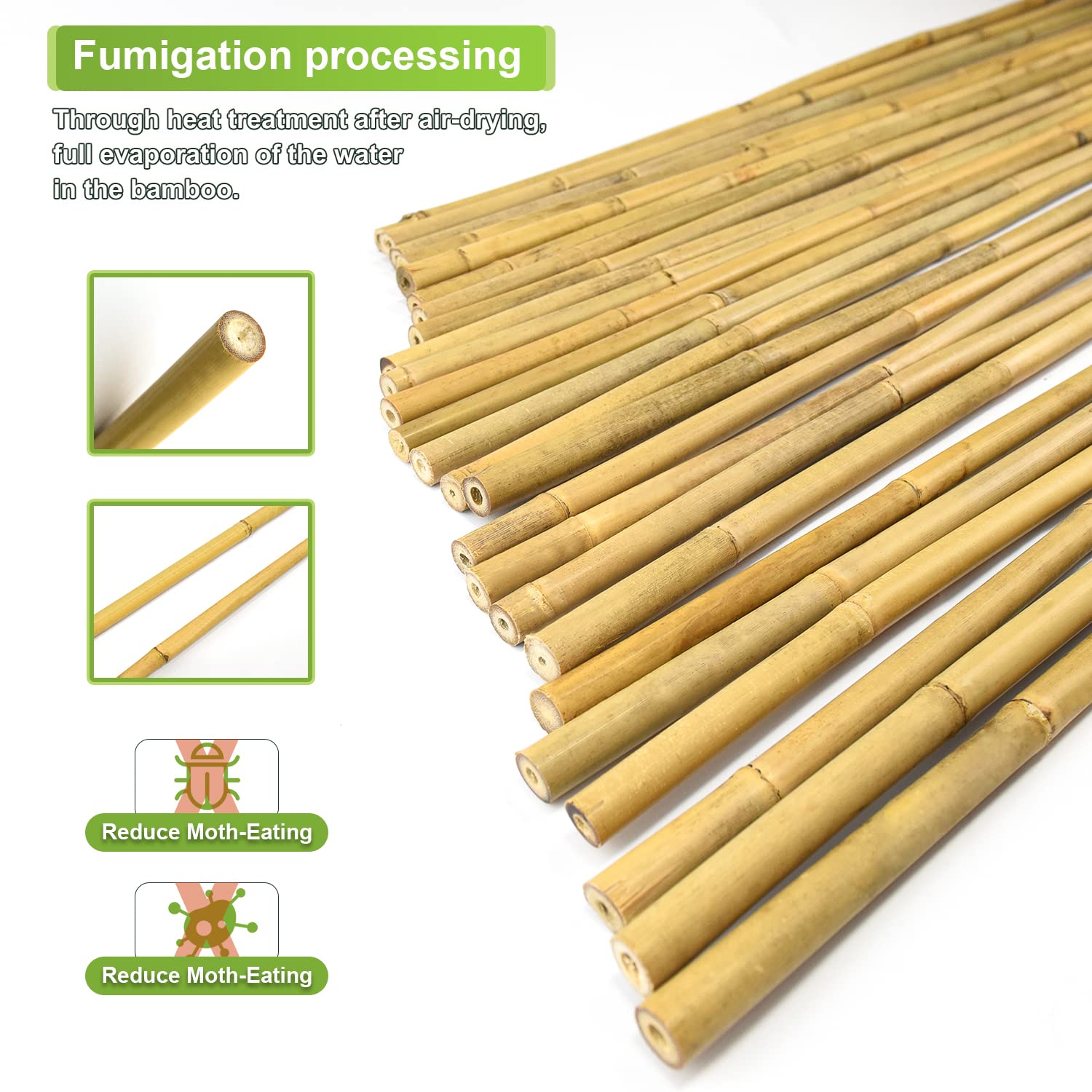 Jollybower 7ft bamboo stake helps tomatoes grow upright