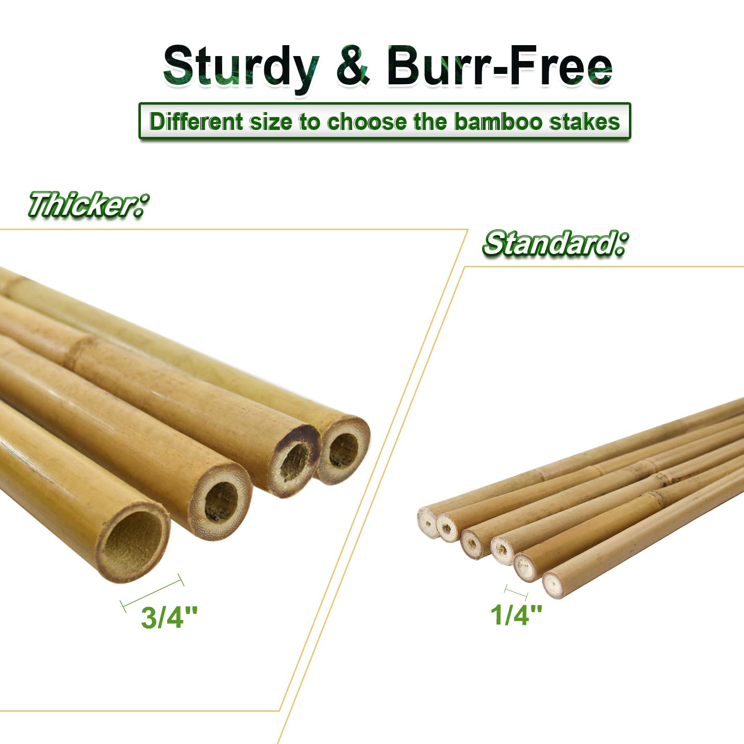 Jollybower 7ft bamboo stake features smooth surface for safe handling