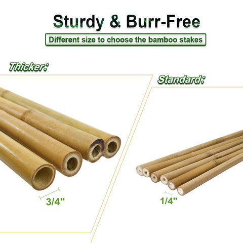 Jollybower 7ft bamboo stake features smooth surface for safe handling