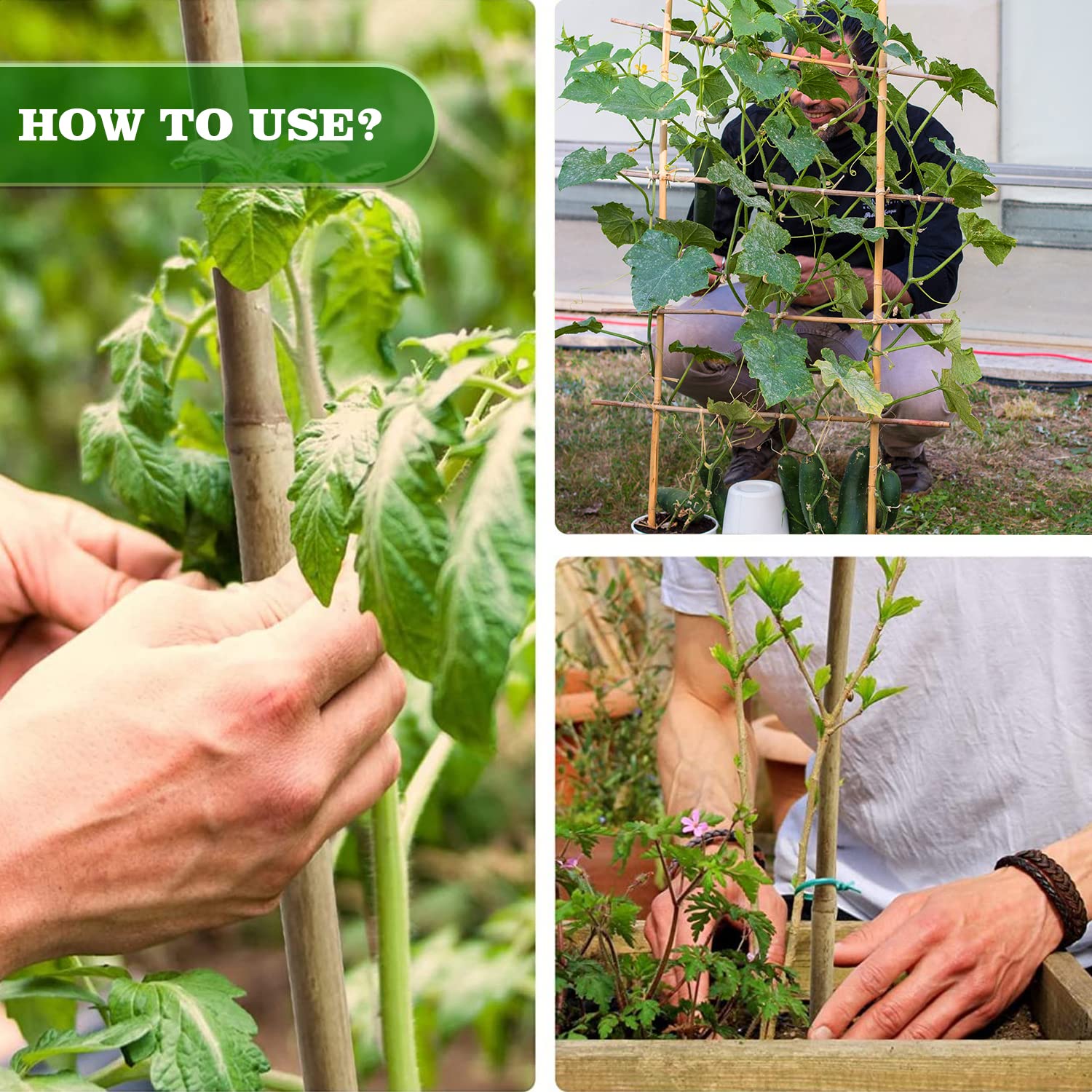 Jollybower 7ft bamboo stake is a natural eco-friendly garden tool