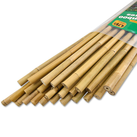 Jollybower bamboo stake 4.75ft set of 25, ideal for trellises.