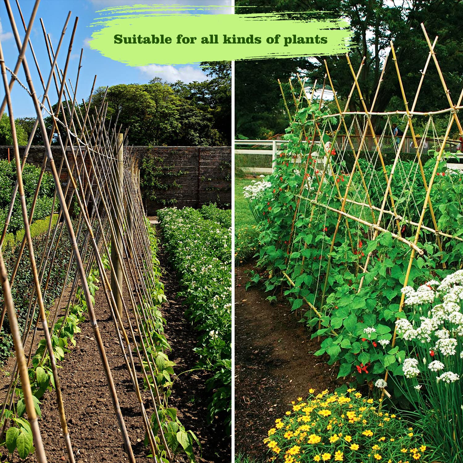 Jollybower easy-to-insert bamboo stakes save time.