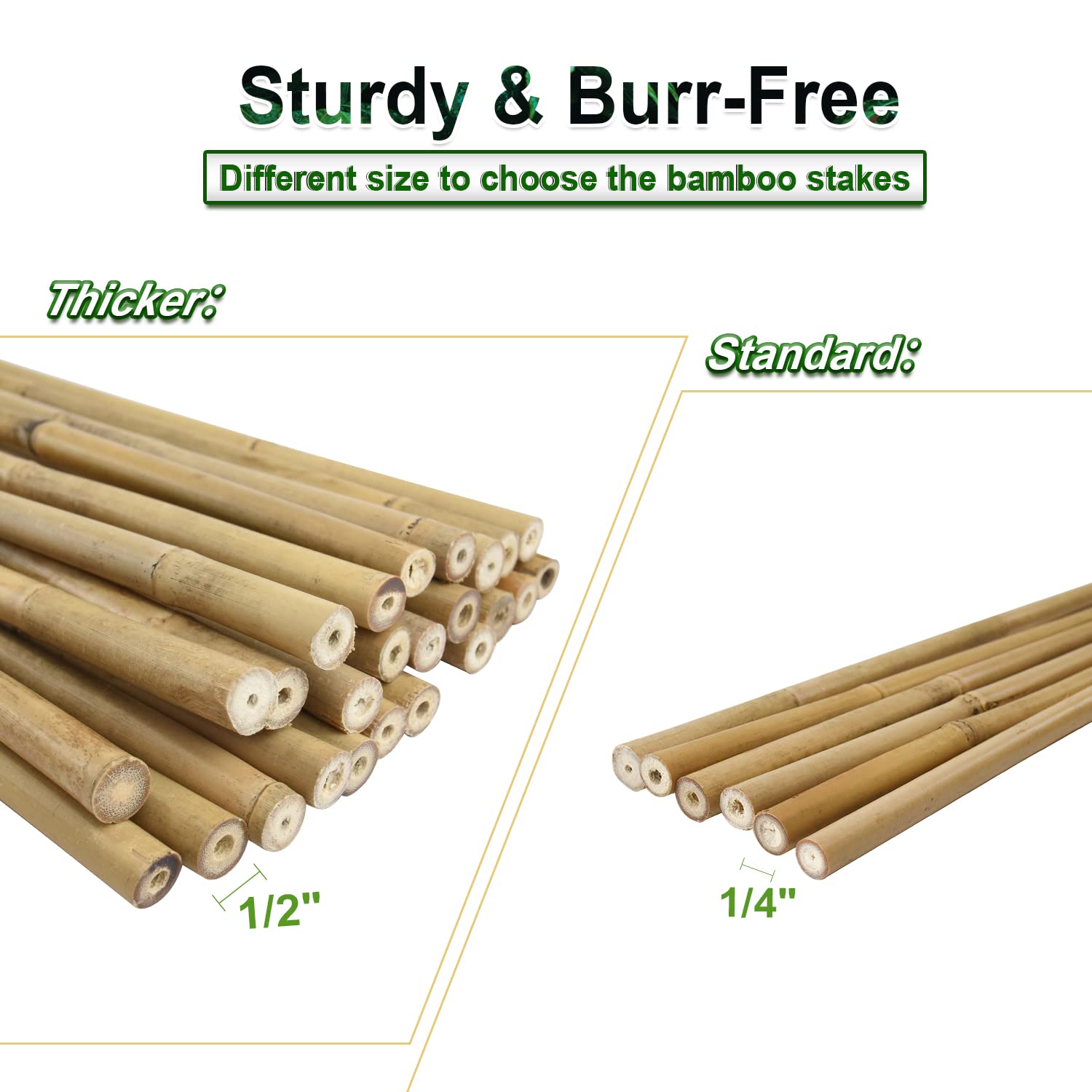 Jollybower eco-friendly garden stakes promote sustainable planting in beds and pots.