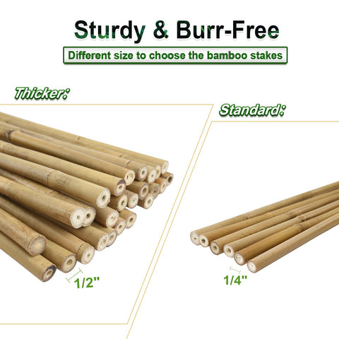 Jollybower eco-friendly garden stakes promote sustainable planting in beds and pots.