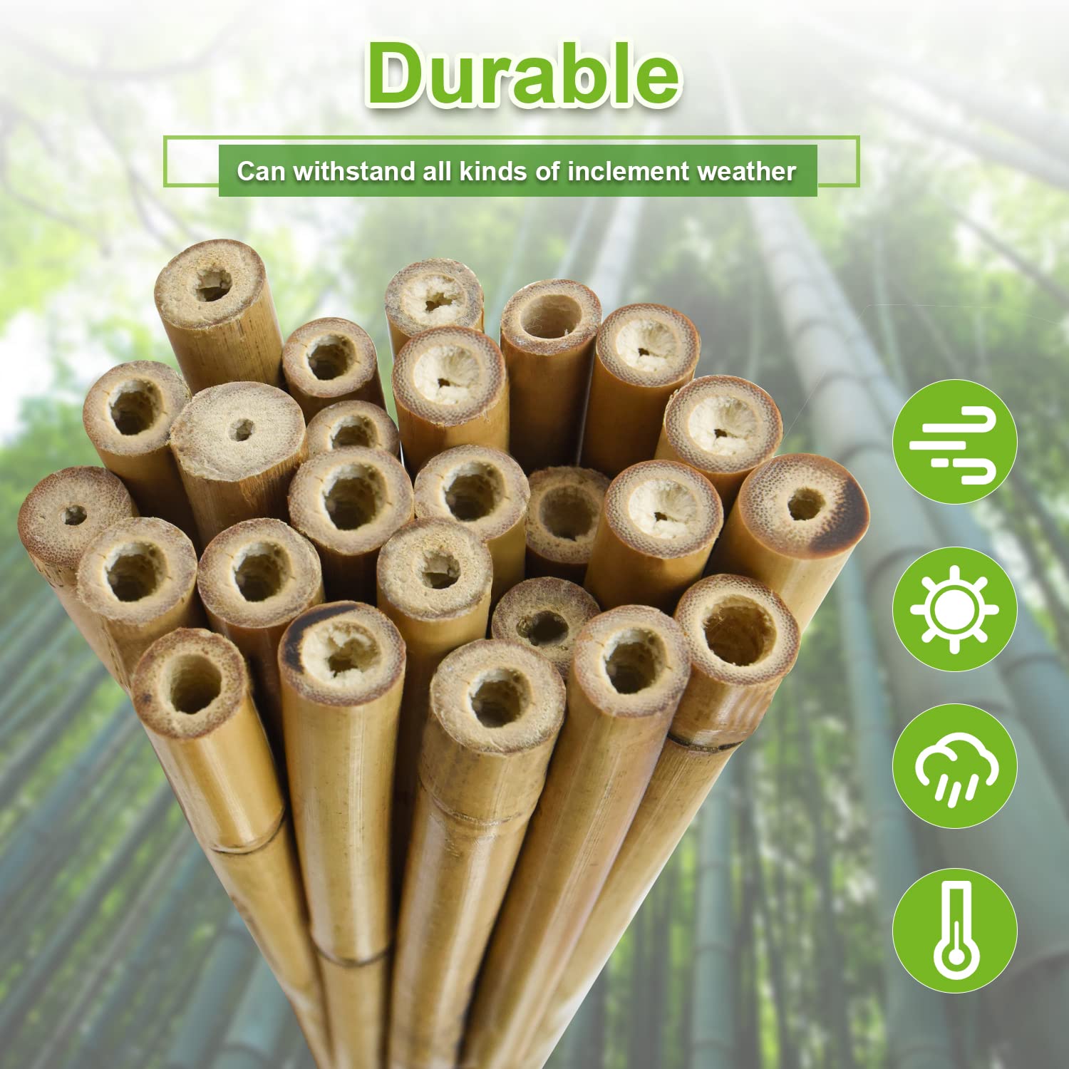 Jollybower trellis-ready stakes support vines and flowers with ease.