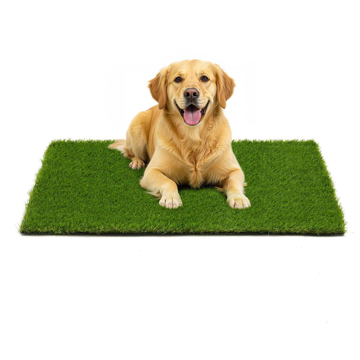 JOLLYDAY artificial grass for dog potty areas with plush, pet-friendly blades.