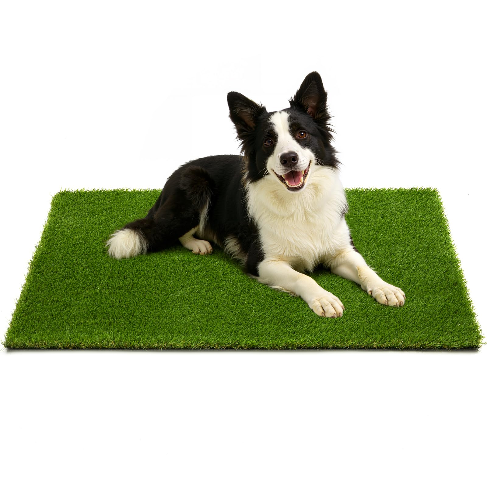 JOLLYDAY artificial grass for dogs on the patio creates a clean play area.