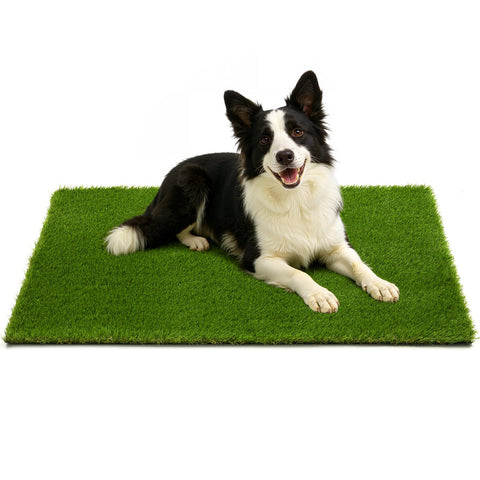 JOLLYDAY artificial grass for dogs on the patio creates a clean play area.