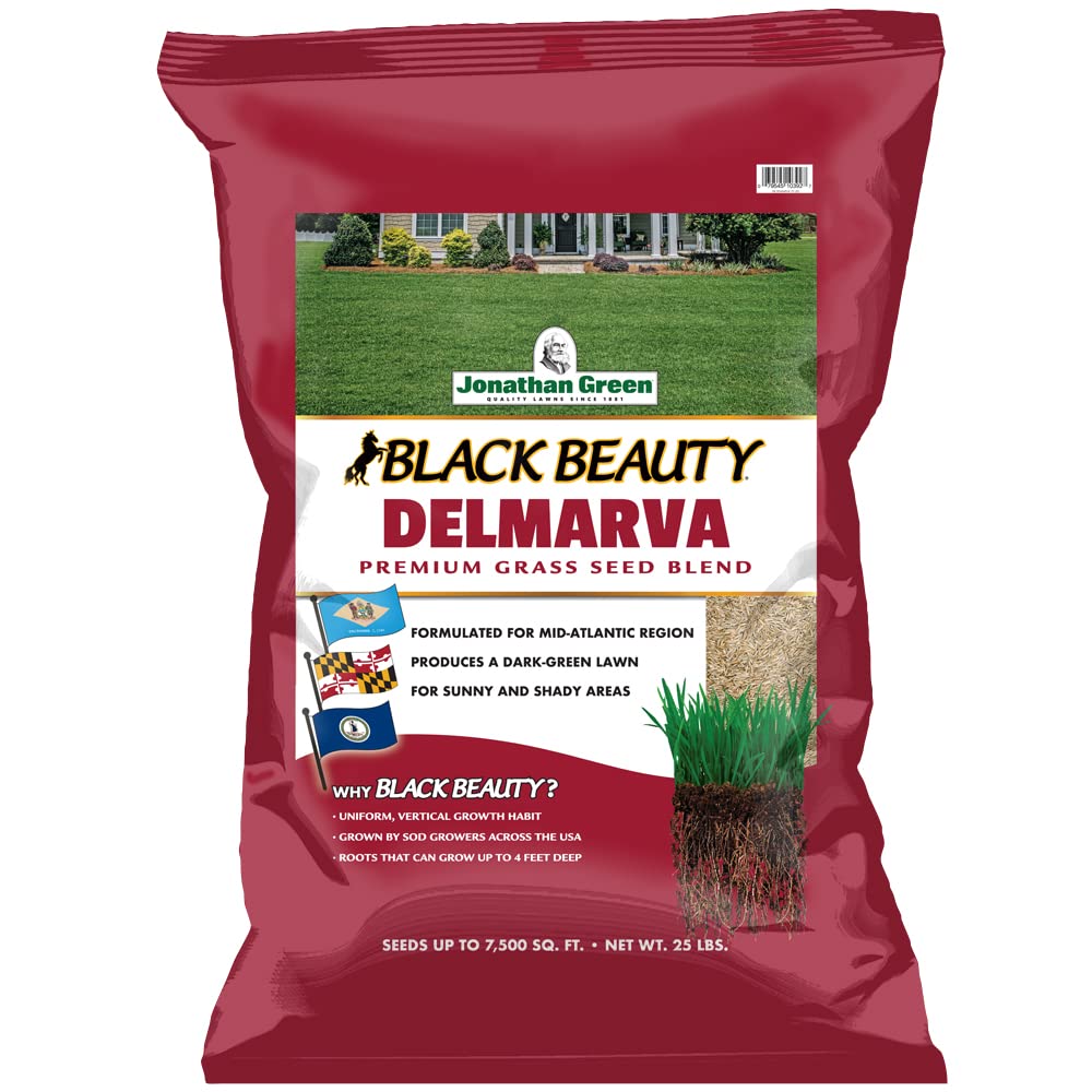 Jonathan Green Black Beauty Delmarva seed bag 25lb for dense cool-season turf