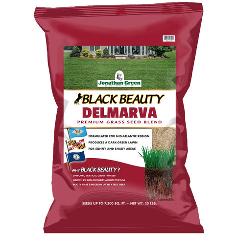 Jonathan Green Black Beauty Delmarva seed bag 25lb for dense cool-season turf