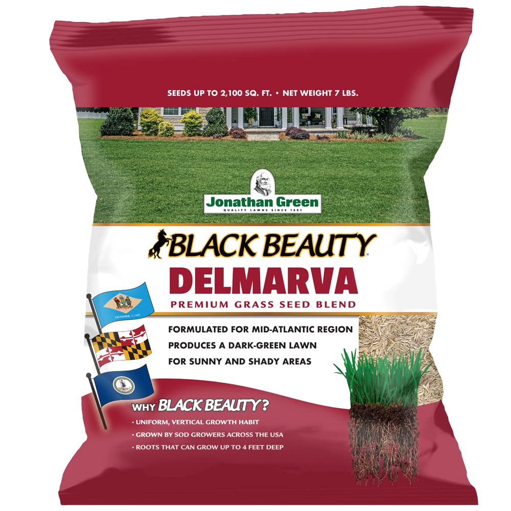 Jonathan Green Black Beauty Delmarva seed bag front view for region-specific lawn seeding