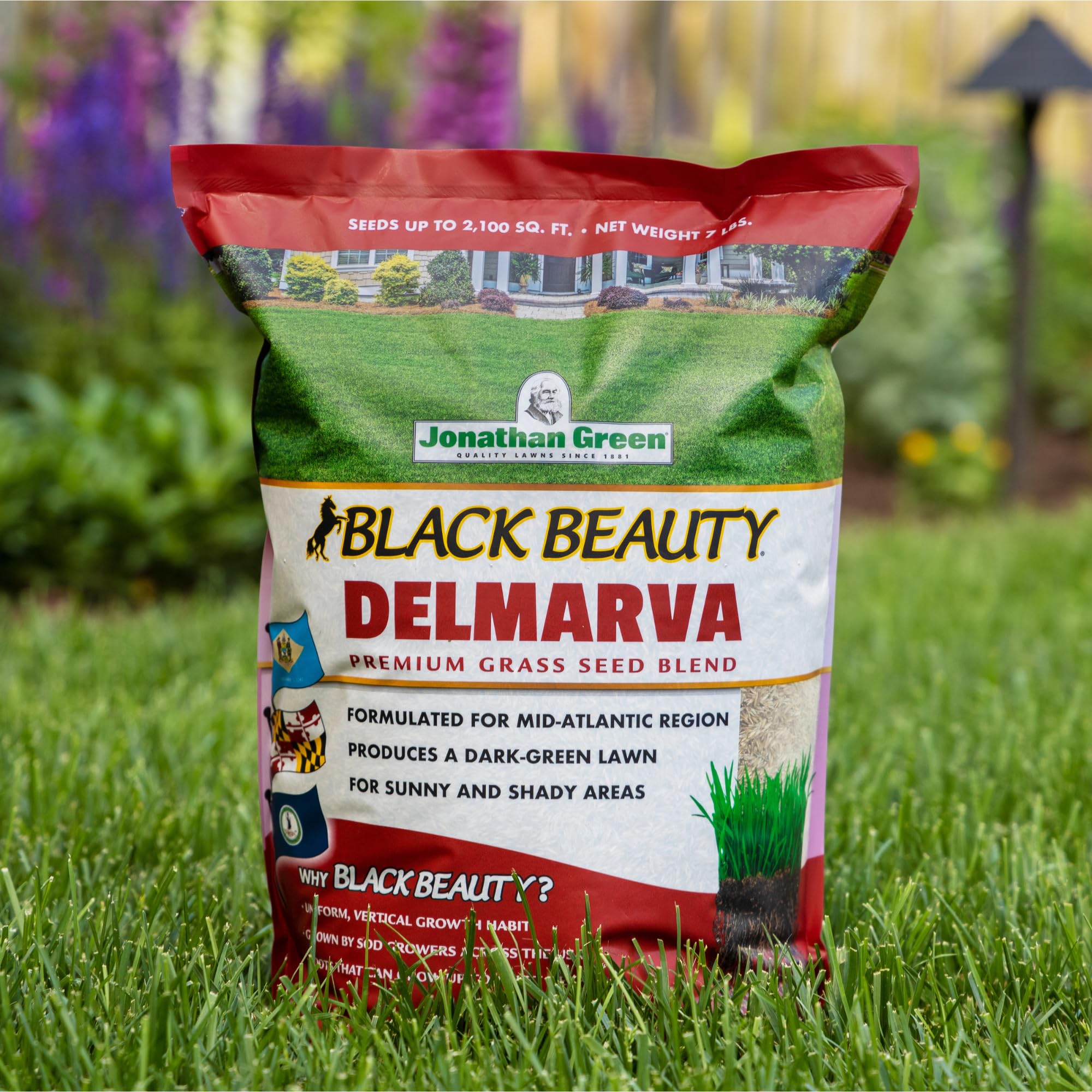 Jonathan Green Black Beauty Delmarva shade-to-sun resilience for versatile lawns