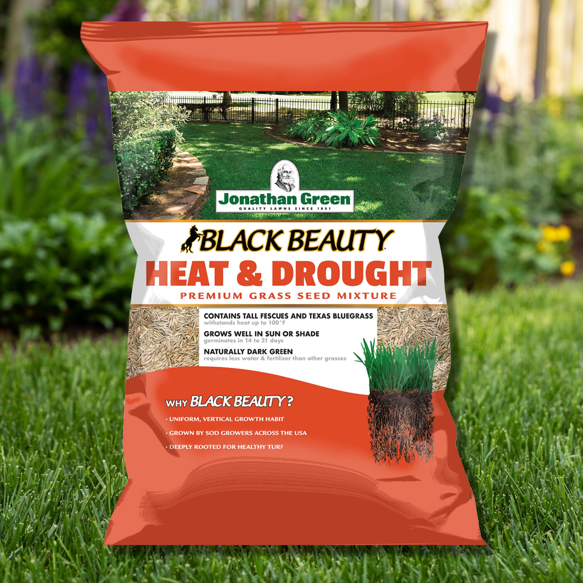 Jonathan Green Black Beauty produces a dense dark-green lawn for curb appeal.
