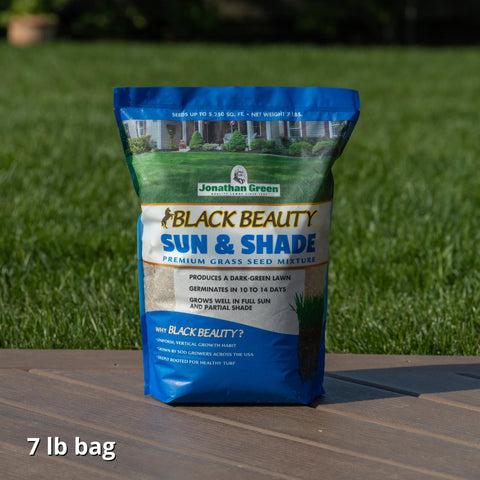 Dark green, dense turf produced by Black Beauty Sun & Shade