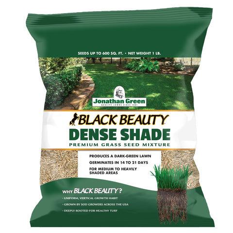 Jonathan Green Black Beauty Dense Shade Seed bag for shade-tolerant lawns.
