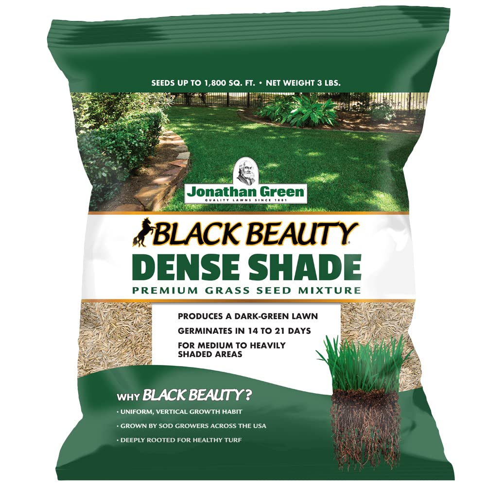 Jonathan Green Black Beauty Dense Shade Seed packaging promotes shade-tolerant lawn for low sun areas.