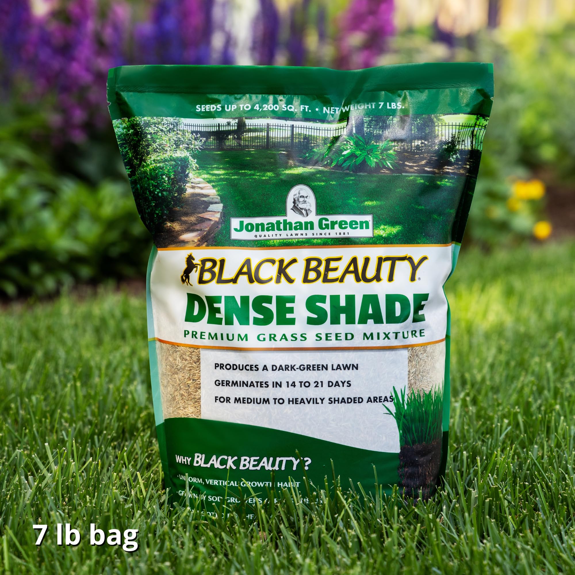 Jonathan Green Black Beauty Dense Shade turf sample shows dark green color.
