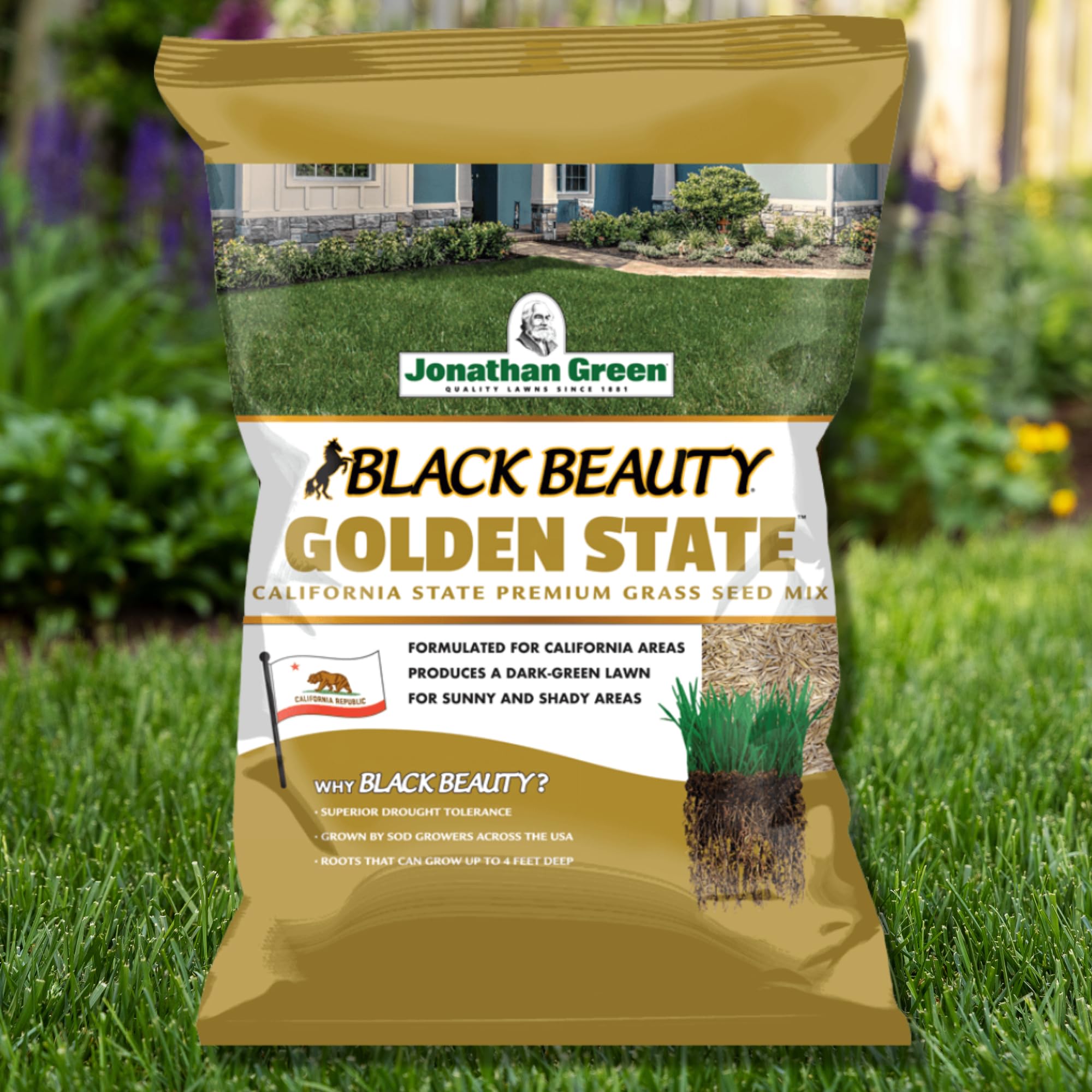 Jonathan Green Black Beauty Golden State seed creates dense dark-green turf.