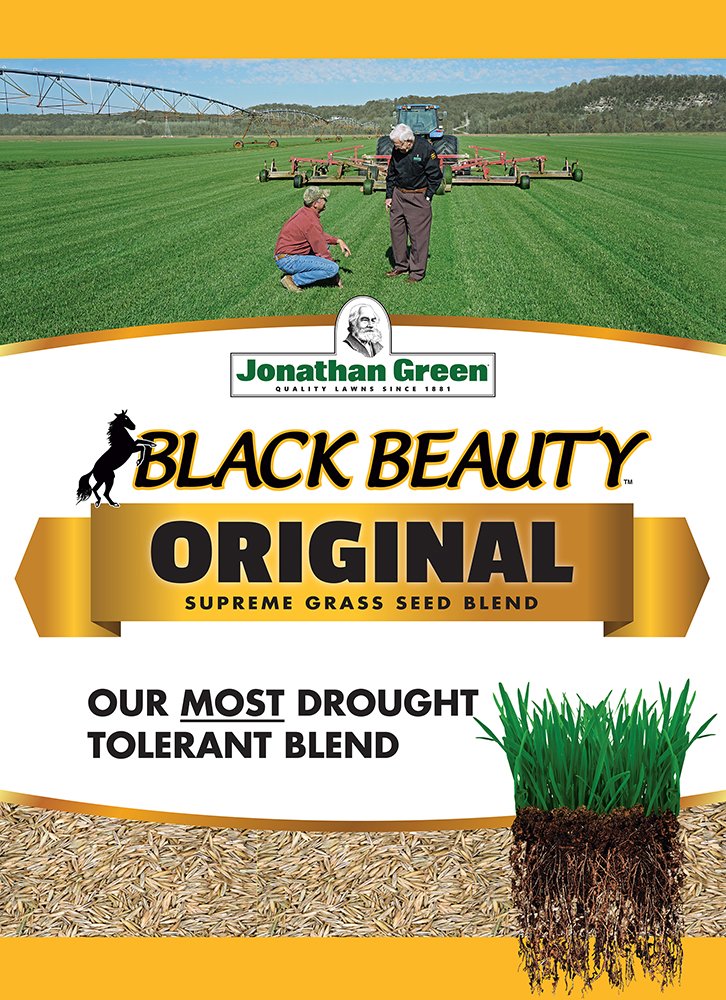 Jonathan Green Black Beauty Grass Seed bag, close-up of seed grains showing drought resistance and disease resistance