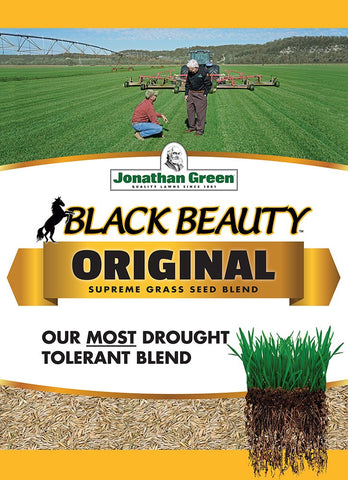 Jonathan Green Black Beauty Grass Seed bag, close-up of seed grains showing drought resistance and disease resistance