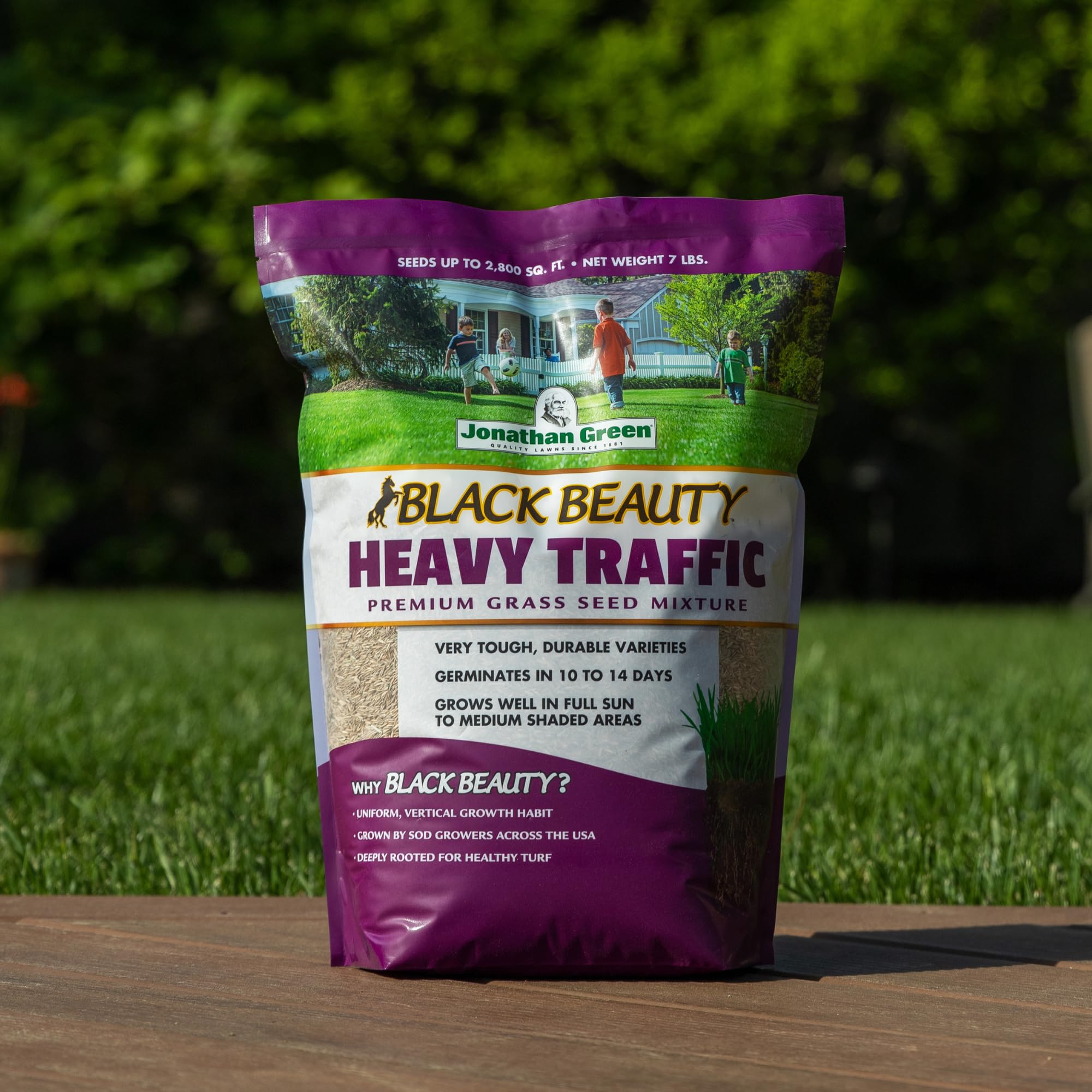 Jonathan Green Black Beauty Heavy Traffic seed forming dense turf with uniform texture