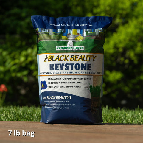 Jonathan Green Black Beauty Keystone adapts to full sun and partial shade