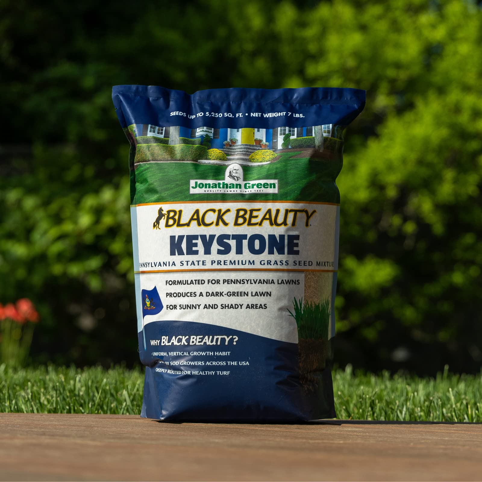 Jonathan Green Keystone germinates in 10-14 days
