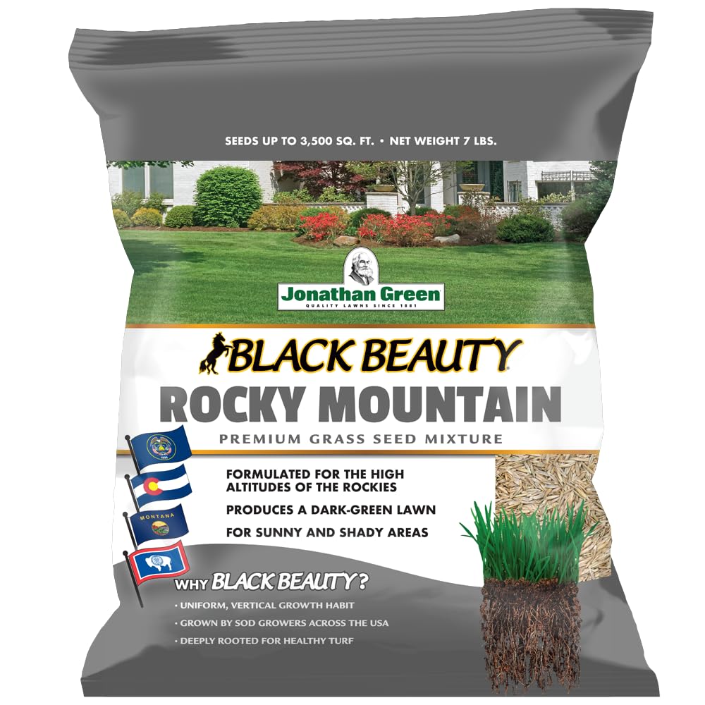 Jonathan Green Black Beauty Rocky Mountain seed bag shows premium lawn blend for Colorado climates.