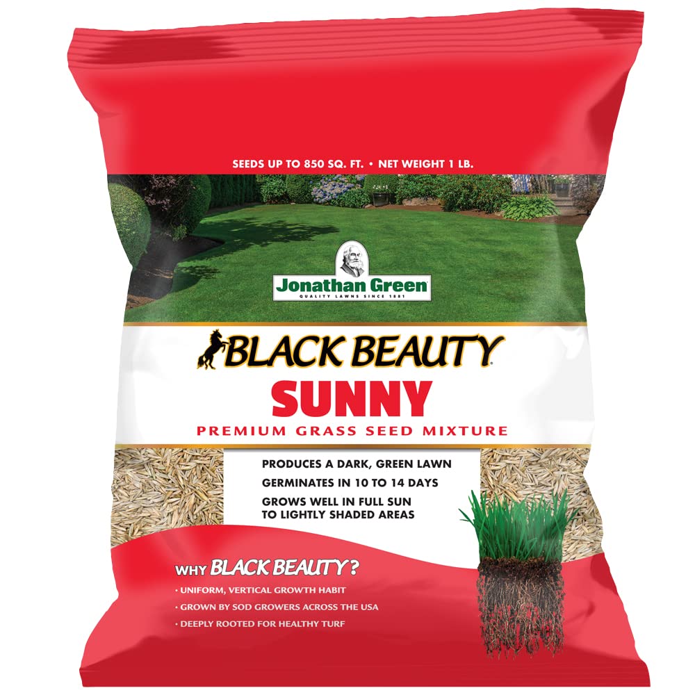 Jonathan Green Black Beauty Sunny Grass Seed bag ready for new lawn seeding.