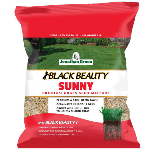 Jonathan Green Black Beauty Sunny Grass Seed bag ready for new lawn seeding.